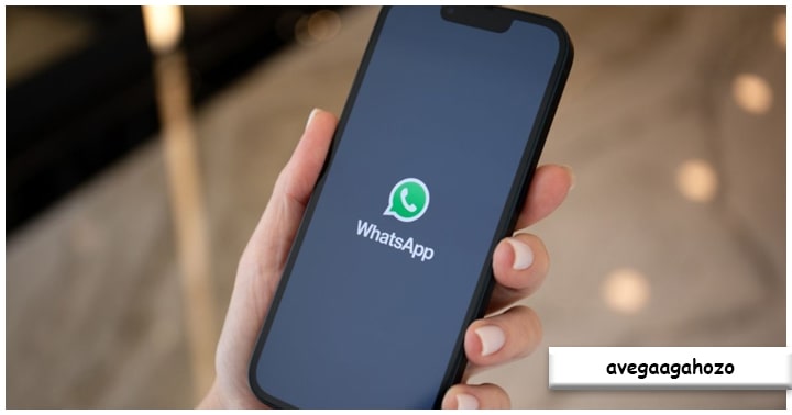 Latar Belakang Fitur Baru Aplikasi WhatsApp
